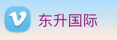 东升国际 logo